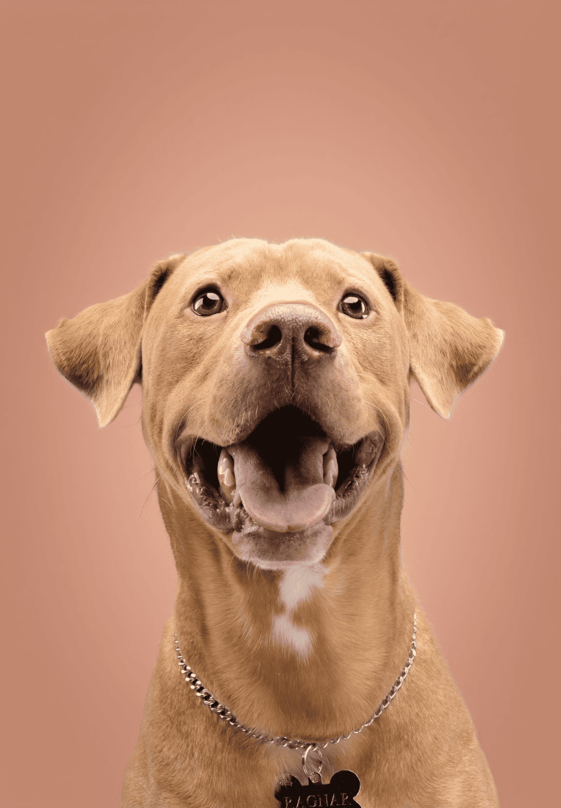 De duelos, sillones rotos, años nuevos y nuevos comienzos