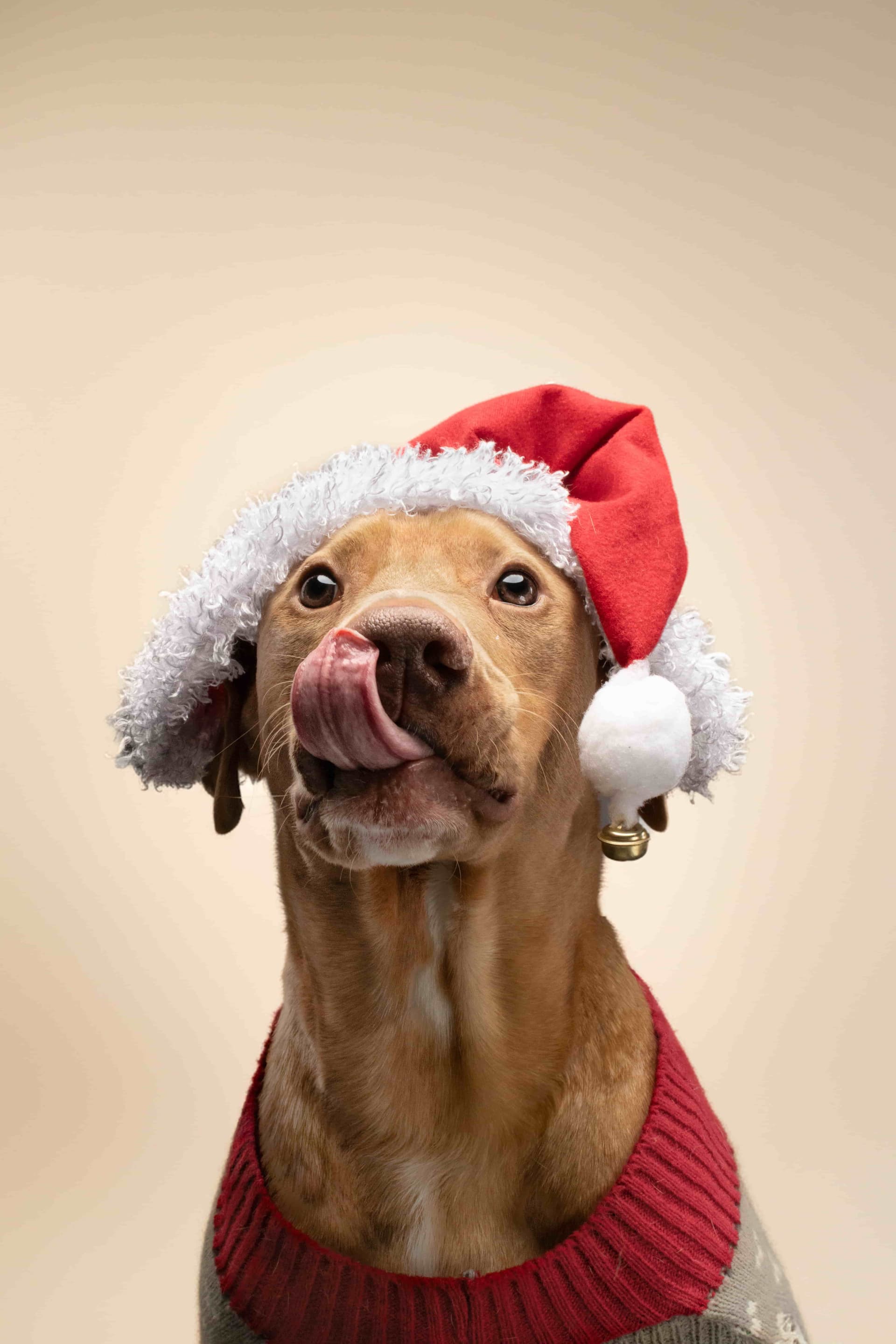 De duelos, sillones rotos, años nuevos y nuevos comienzos